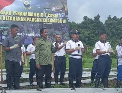 Koarmada III Dukung Ketahanan Pangan Kabupaten Sorong Papua Barat Daya