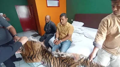 Jual Kulit Harimau dan Sisik Trenggiling, Kakak Beradik di Sidimpuan Ditangkap Polisi