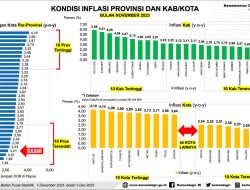 Pj Gubernur Sulbar, Prof Zudan Ikuti Rakor Inflasi di Kemendagri; Inflasi Sulbar 2,21 Persen, Posisi 4 Terbaik di Indonesia
