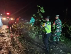 Hujan Disertai Angin di Selatan Waduk Mulur,  Babinsa Gerak Cepat Koordinasi dan Atasi Pohon Tumbang