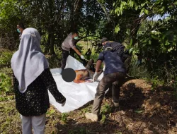 Warga Tenjo Geger Temukan Jasad Pria Tergantung Pada Pohon Di Kebon Warga