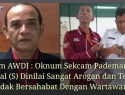 Ketum AWDI : Oknum Sekcam Pademangan Dinilai Sangat Arogan,Terkesan Tidak Bersahabat Dengan Wartawan