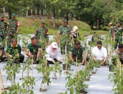 Forkopimda DKI Jakarta Tanam Ribuan. Cabai dan Buah Di Jakut