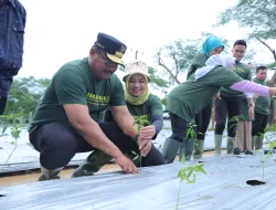 Gaungkan Semangat Menanam, Pj Gubernur Safrizal: Rumah Dinas Sebagai Percontohan