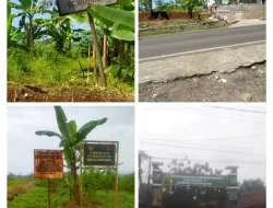 Klaim HGU PTPN V111 Cibungur Yang Kini Berubah Lagi Sebutannya Menjadi PT Perkebunan Nusantara 1 Regional 2, Diduga Keras Berdiri Diatas Leter C Atas Nama Natadipura