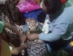 Masukan Tangan Ke Lubang, Balita di Tangerang Meninggal Dunia Digigit Ular Kobra