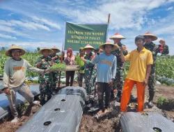 Babinsa Koramil 1710-02/Timika Pelopori Program Ketahanan Pangan Di Wilayah Dengan Mengajak Kelompok Tani Binaan Tanam 7000 Bibit Melon