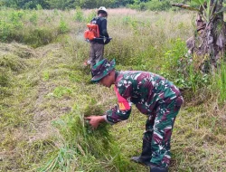 Babinsa Koramil 1710-07/Mapurujaya Ajak Warga Petani Untuk Membuka Lahan Tidur Agar Menjadi Lahan Produktif