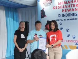 Si Gemoy Penyayang Hewan : Cerminan Kecintaan Capres Prabowo Terhadap Hewan