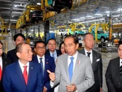 Bertemu Chairman VinFast, Presiden Jokowi Sambut Baik Rencana Investasi VinFast di Indonesia