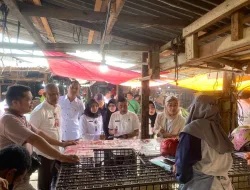 Satgas Pangan Polda Riau Melakukan Pemantauan Harga Bapokting Dipasaran Serta Dorong Stakeholder Terkait Lakukan Operasi Pasar Murah