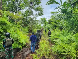 Satgas TMMD Ke-119 Kodim 1715/Yahukimo Terabas Hutan Dekai Untuk Buka Pembangunan Jalan Demi Masyarakat