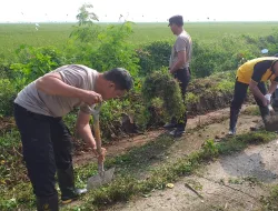 Bangun Jalan Lingkungan Satgas TMMD Ke 119 Di Sambut Gembira Masyarakat Desa Karang Mukti