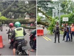 Kapolsek Ciawi Bersama Anggota Dan Instansi Terkait Lakukan Evakuasi Kembali Adanya Bencana Alama Pohon Tumbang