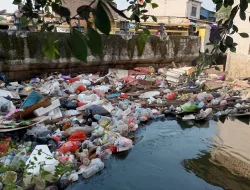 Banjir Mulai Surut, Kali Semongol di Kalideres Dipenuhi Sampah