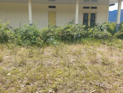 Mahasiswa Intan Jaya Menyoroti Kinerja Kepala Bandara Bilorai, Sugapa Intan Jaya