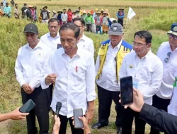 Tinjau Panen Raya di Kabupaten Sigi, Presiden Jokowi Hasilnya Cukup Baik