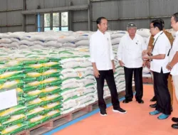Jokowi Tinjau Stok Beras dan Serahkan Bantuan Pangan di Kabupaten Bungo
