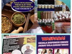 Pengobatan Alat Vital Makassar Terbaik H.Abdulazis Ampuh Terpercaya