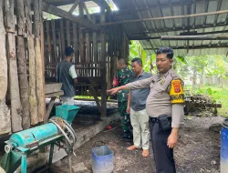 Pencurian 11 Ekor Kambing Terjadi di Desa Pagelaran, Polsek Ciomas Lakukan Investigasi Penyelidikan Lanjut