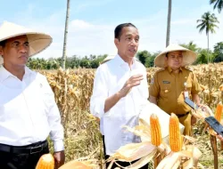Presiden Jokowi Apresiasi Kemenangan Timnas Indonesia Atas Yordania Dalam Piala Asia U-23 AFC