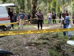 Remaja di Rohul Tewas Ditebas Teman gegara Dituduh Ambil Brondolan Sawit
