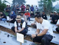 Telkom Dorong Ekosistem Bisnis Asparagus di Cianjur