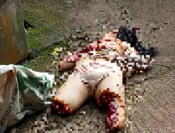 Gila Mutilasi Korban Tawarkan Dengkul Tubuh Istri Ke Tetangga