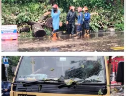 Polsek Ciawi Lakukan Pengecekan Terkait Kendaraan Mengalami Musibah Tertimpa Pohon Tumbang