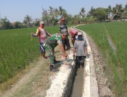 Agar Pasokan Air Kebutuhan Pertanian Mencukupi Babinsa Tinjau Perbaikan Saluran Air