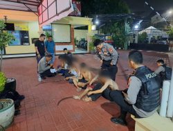 Tawuran di Meruya Selatan: Anggota Patroli Presisi Polda Metro Jaya Terluka, Delapan Remaja Diamankan
