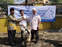 Didampingi Manajer PT Kino Kepala Desa Babakan Jaya Serahkan Hewan Kurban Kepada Tiga RT