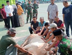 Momen Idul Adha 1445 Hijiriah Kodim 0509 Bagikan Ratusan Bungkus Daging Hewan Kurban