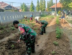 Jadikan Lahan Produktif Urban Farming Koramil 11 Pebayuran Tanam Ratusan Tanaman Cabai