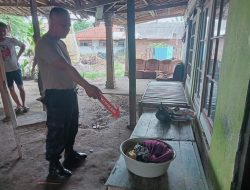 Kurang Dari 1X24 Jam Polsek Cariu Berhasil Ungkap Pelaku Yang Diduga Ibu Buang Bayi Yang Baru Di Lahirkan