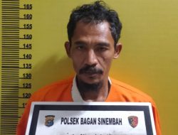 Bawa Ganja 5 Kilogram, 2 Pelaku Ditangkap Unit Reskrim Polsek Bagan Sinembah