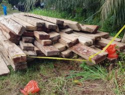 Terkait Pemberitaan Ilegal Logging, Polisi Amankan 4 TKP di Kecamatan Siak Hulu