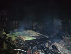 Si Jago Merah Mengamuk di Kualu, Rumah Nenek Saruna Hangus Terbakar
