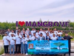 BPC HIPMI Kabupaten Tangerang, Lakukan Gerakan Tanam 1000 Pohon Mangrove
