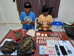 Tim Mata Elang Sat Res Narkoba Polres Kuansing Berhasil Ungkap Peredaran Narkotika Jenis Ganja Kering Sebanyak 520 Gram dari Seorang Residivis Narkoba.