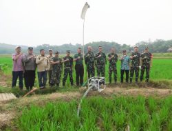 Tingkatan Program Perluasan Areal Tanam Melalui Pompanisasi di Kabupaten Bekasi