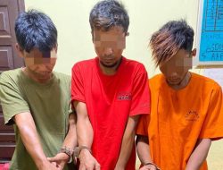 Meresahkan Masyarakat, Polisi Gerak Cepat Tangkap 3 Pelaku Narkoba di Desa Tanjung Balam Taratak Buluh dan Lubuk Siam