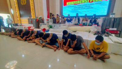 Penegakan Hukum Tegas untuk Perdagangan Benih Lobster Ilegal di Lampung