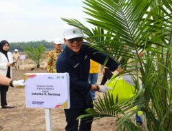 PTPN IV PalmCo Targetkan 2,1 Juta Bibit Unggul Diserap Petani Hingga 2024, Begini strateginya