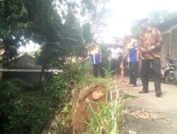 Upaya Pemdes Ajukan Keluhan Warga Terkait Jalan Longsor Akibat Abrasi