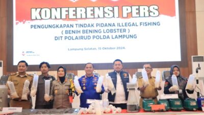 KKP Apresiasi Polda Lampung Ungkap Penyelundupan Baby Lobster
