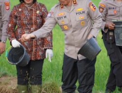 Dukung Ketahanan Pangan Nasional, Kakorbinmas Baharkam Polri Semai Padi di Kulonprogo