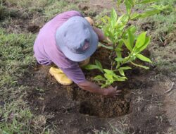 Program Ayo BerAKSI, Upaya Telkom Dorong Karyawan Beri Dampak Positif Langsung di Masyarakat