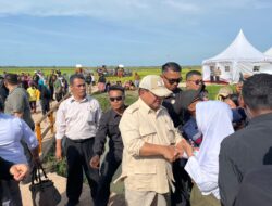 Panglima TNI Dampingi Presiden RI Tinjau Program Swasembada Pangan Nasional di Merauke