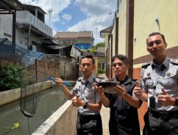 Langkah Nyata Rutan Bangil Dalam Ketahanan Pangan, Warga Binaan Ikuti Program Budidaya Ikan Gurami